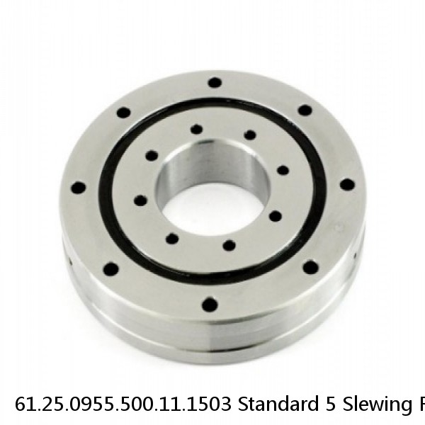 61.25.0955.500.11.1503 Standard 5 Slewing Ring Bearings
