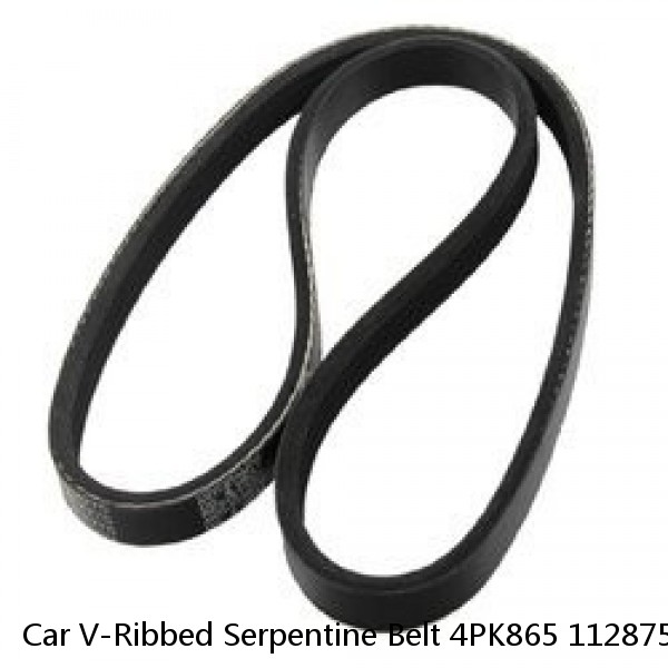Car V-Ribbed Serpentine Belt 4PK865 11287512762 for BMW X3 2004-2006