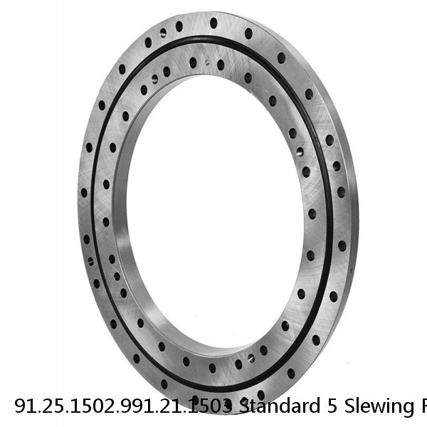 91.25.1502.991.21.1503 Standard 5 Slewing Ring Bearings #1 small image
