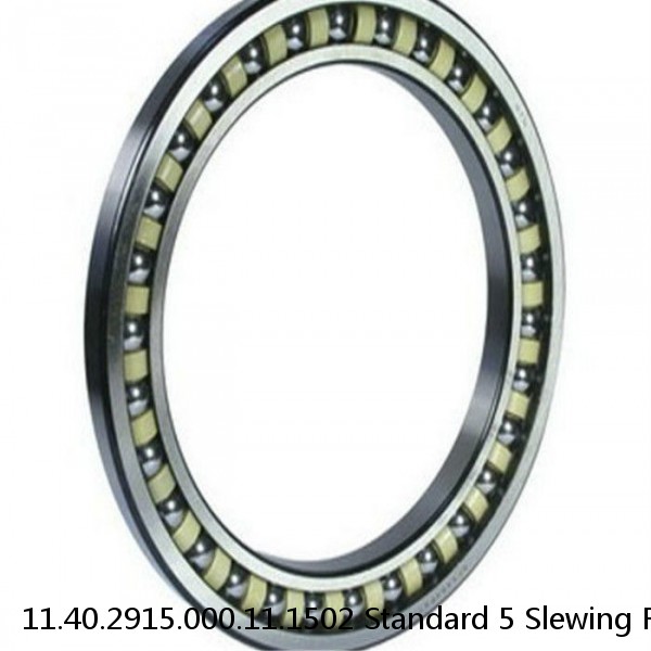 11.40.2915.000.11.1502 Standard 5 Slewing Ring Bearings