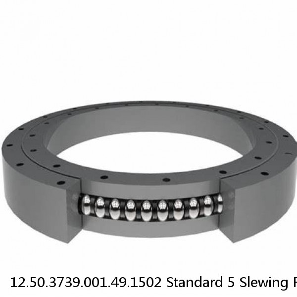 12.50.3739.001.49.1502 Standard 5 Slewing Ring Bearings #1 small image