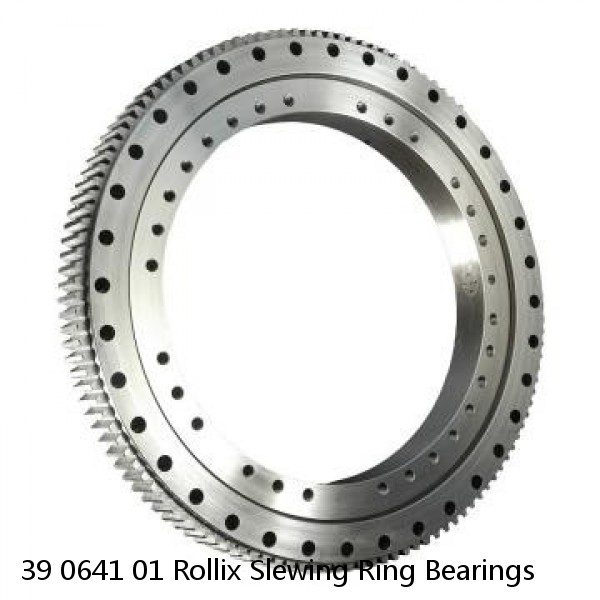 39 0641 01 Rollix Slewing Ring Bearings #1 small image