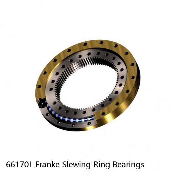 66170L Franke Slewing Ring Bearings #1 small image