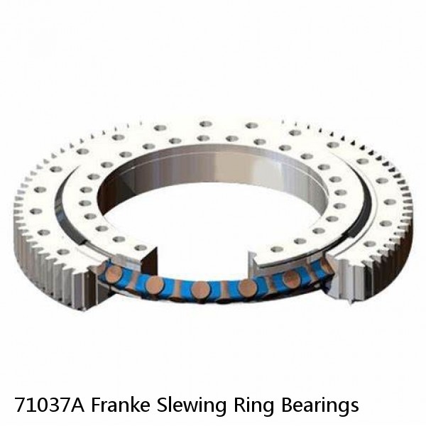 71037A Franke Slewing Ring Bearings #1 small image