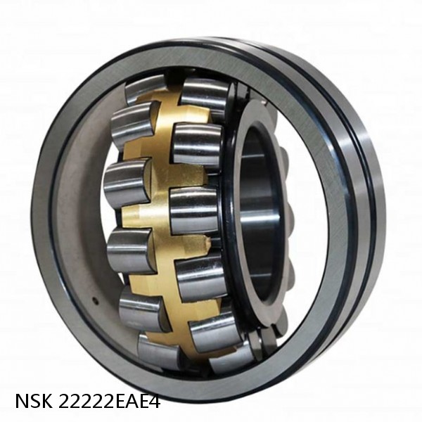 22222EAE4 NSK Spherical Roller Bearing #1 small image