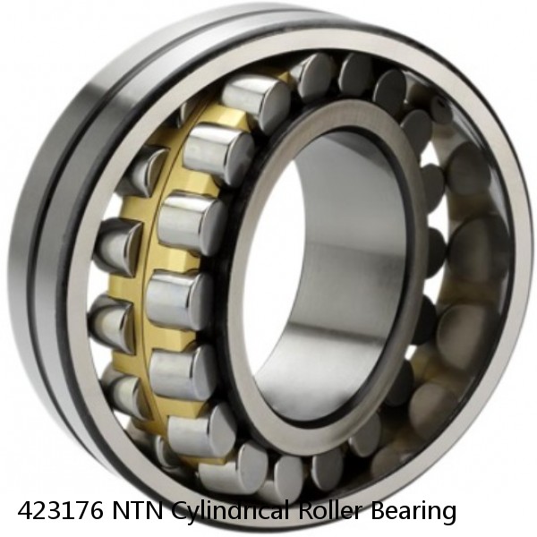 423176 NTN Cylindrical Roller Bearing #1 small image