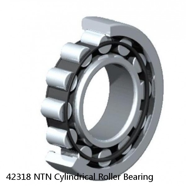 42318 NTN Cylindrical Roller Bearing #1 small image
