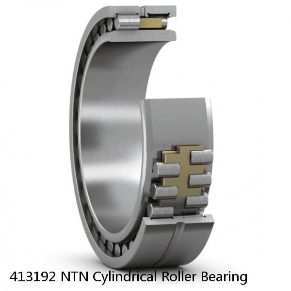 413192 NTN Cylindrical Roller Bearing #1 small image