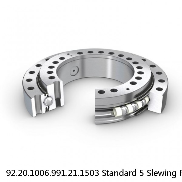 92.20.1006.991.21.1503 Standard 5 Slewing Ring Bearings #1 image