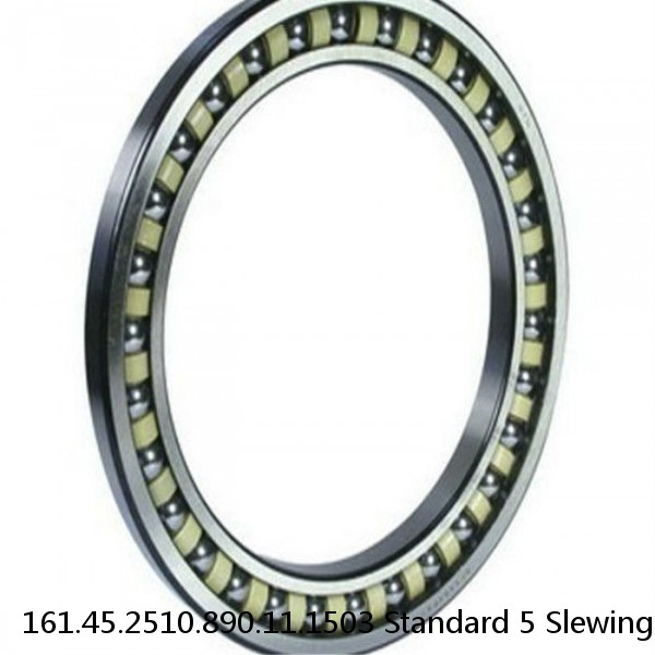 161.45.2510.890.11.1503 Standard 5 Slewing Ring Bearings #1 image