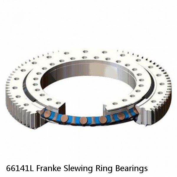 66141L Franke Slewing Ring Bearings #1 image