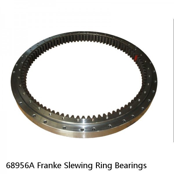 68956A Franke Slewing Ring Bearings #1 image