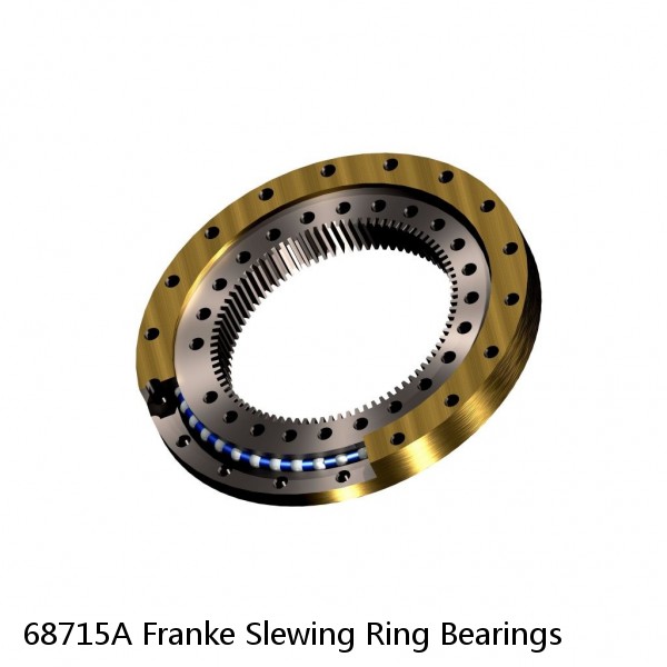 68715A Franke Slewing Ring Bearings #1 image