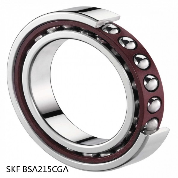 BSA215CGA SKF Brands,All Brands,SKF,Super Precision Angular Contact Thrust,BSA #1 image