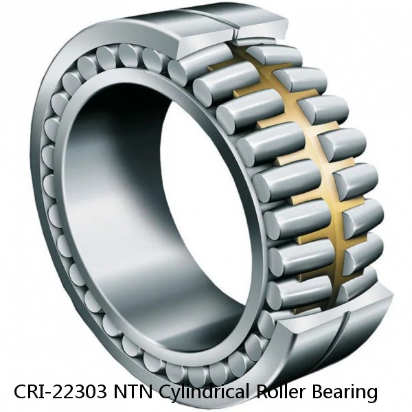 CRI-22303 NTN Cylindrical Roller Bearing #1 image
